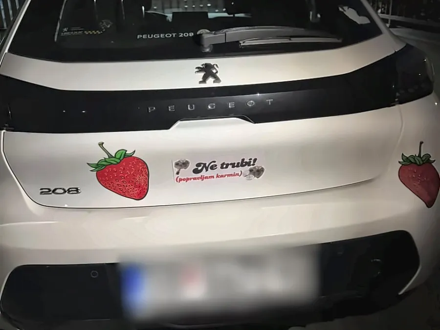 Ne trubi! (popravljam karmin) na autu