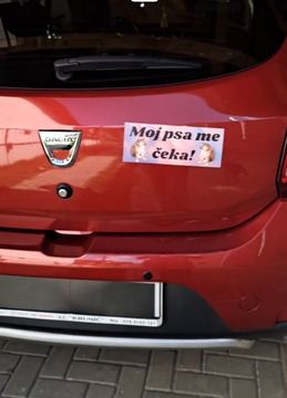Moj psa me čeka!