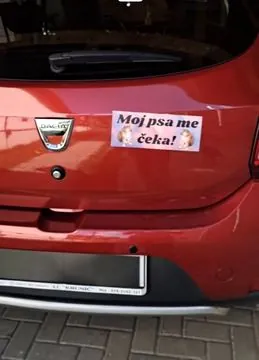 Moj psa me čeka!