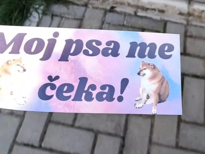 Magnetna tabla „Moj psa me čeka!” sa dva psa na roze i plavoj podlozi